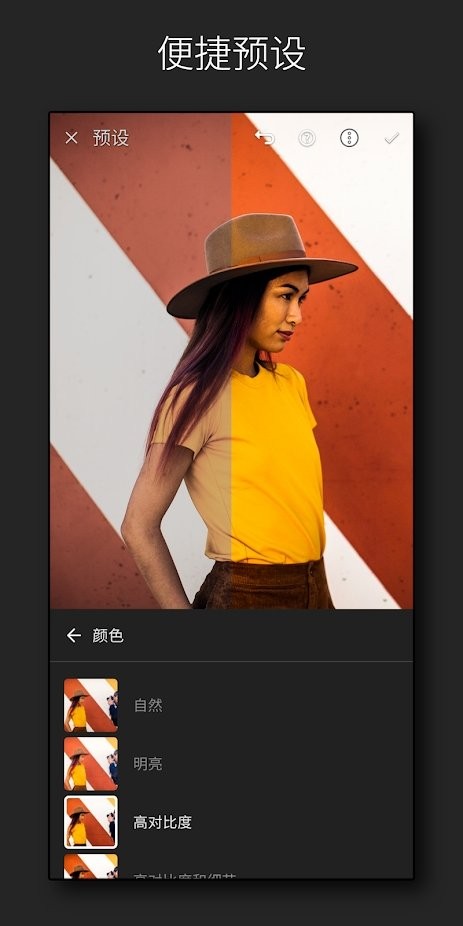 lightroom手机修图软件免费 V8.4.1