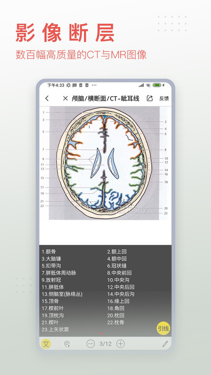 3dbody解剖图手机 V8.7.30