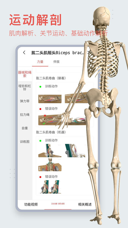 3dbody解剖图手机 V8.7.30