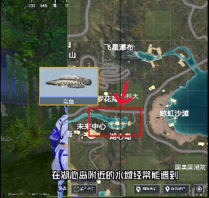 和平精英绿洲世界钓鱼位置大全[图]