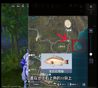 和平精英绿洲世界钓鱼位置大全[图]