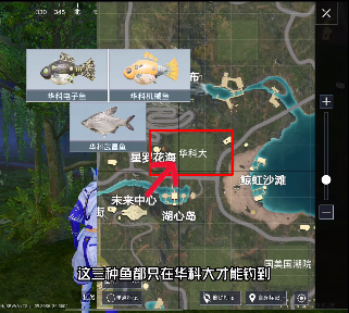 和平精英绿洲世界钓鱼位置大全[图]
