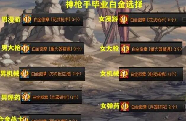 DNF全职业角色毕业白金徽章一览