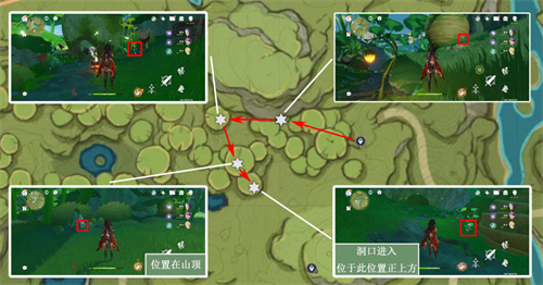 原神帕蒂莎兰采集点位置一览[图]