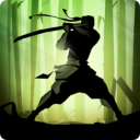 暗影格斗2 v2.28.0