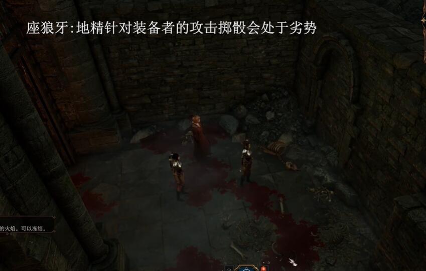 博德之门3独特装备获取攻略