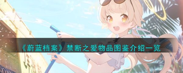 蔚蓝档案禁断之爱物品图鉴介绍  具体一览