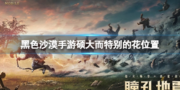 黑色沙漠手游硕大而特别的花在哪 黑色沙漠硕大而特别的花位置介绍