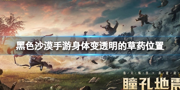 黑色沙漠手游身体变透明的草药在哪 黑色沙漠手游身体变透明的草药位置介绍