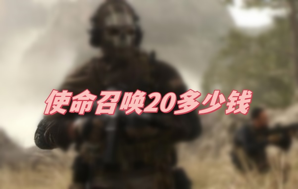 使命召唤20多少钱