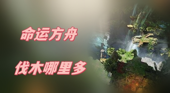 命运方舟伐木哪里多